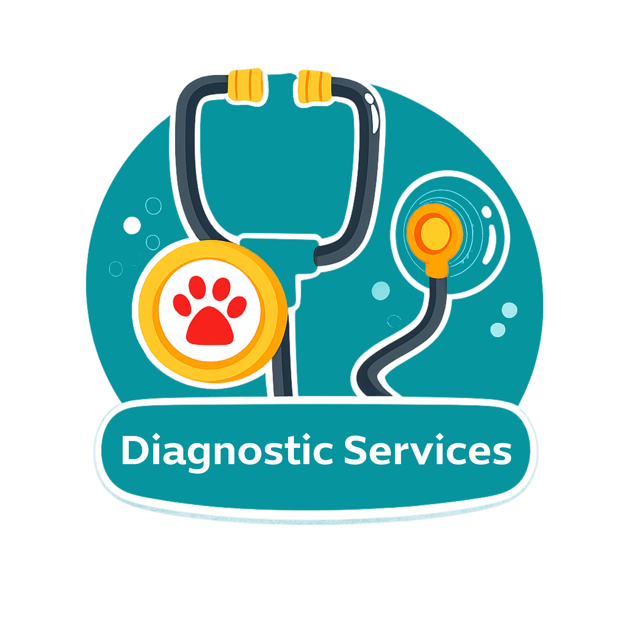 01 Diagnosis