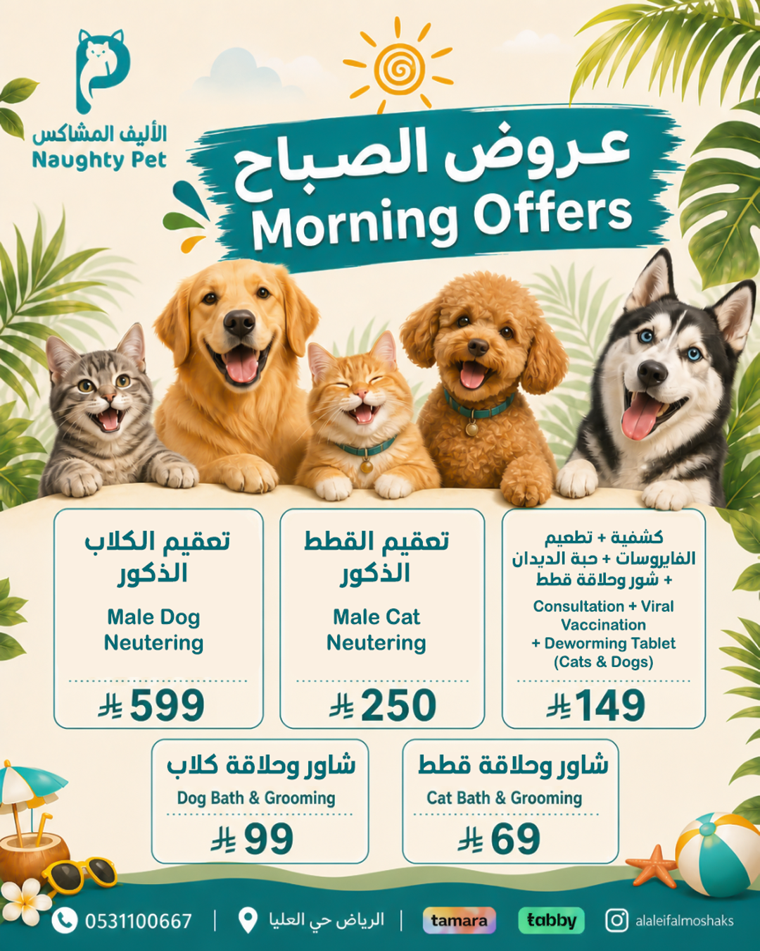 الفترة الصباحية